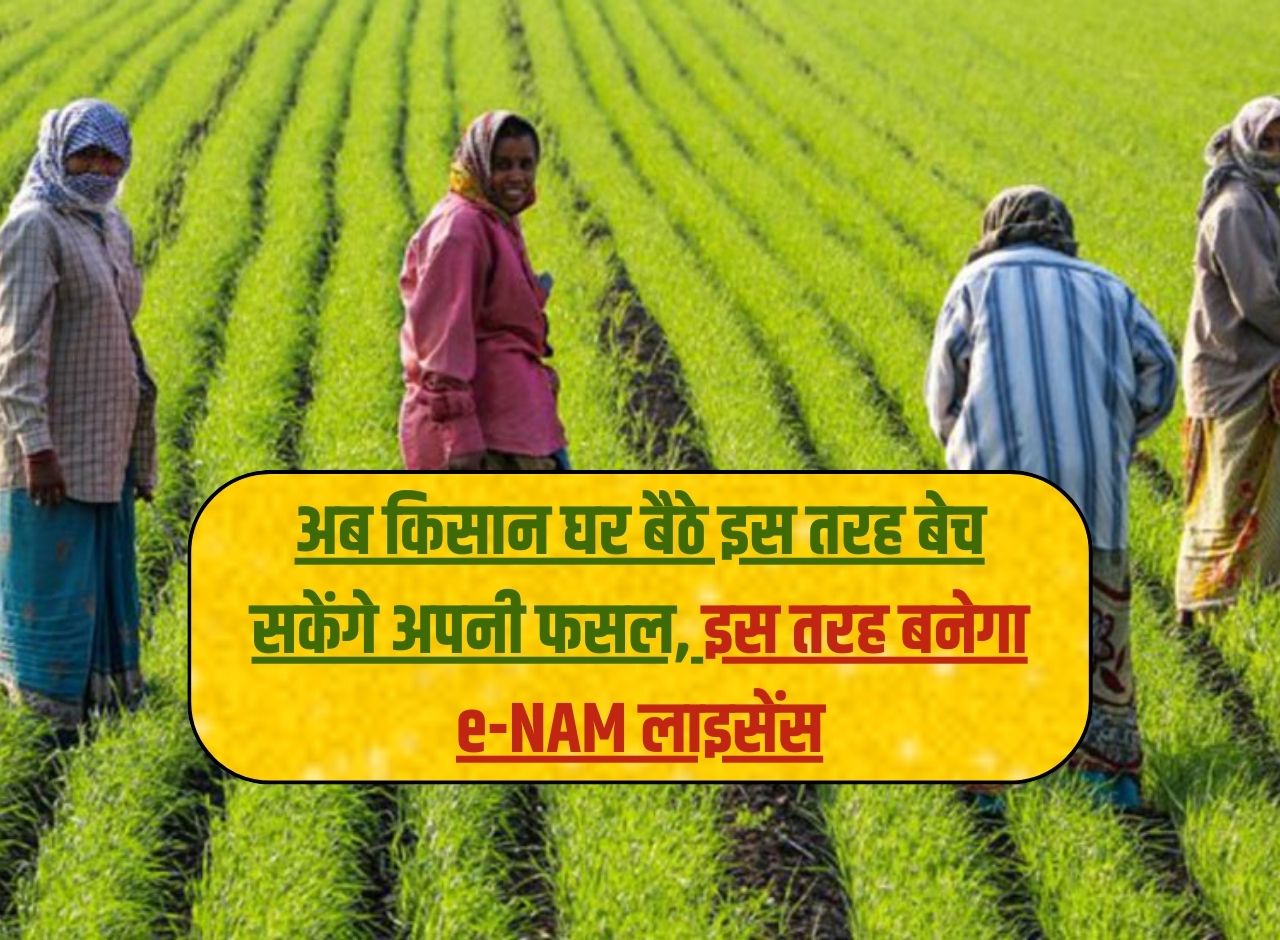अब किसान घर बैठे इस तरह बेच सकेंगे अपनी फसल, इस तरह बनेगा e-NAM लाइसेंस