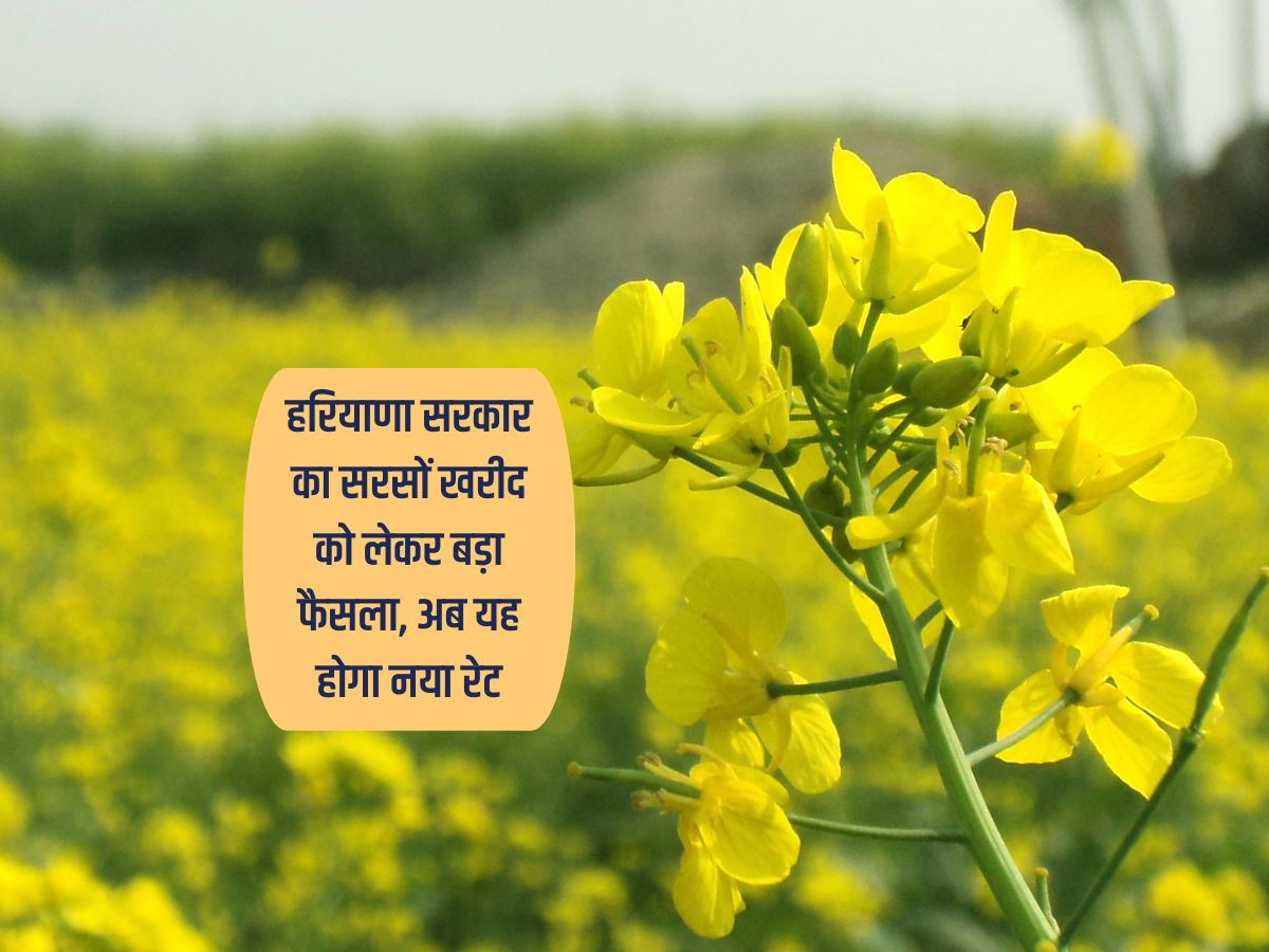 Haryana Agriculture News