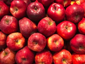 Apple Farming : सेब पैदावार में इन 3 राज्यों की 99 प्रतिशत तक हिस्सेदारी, यह राज्य टॉप पर