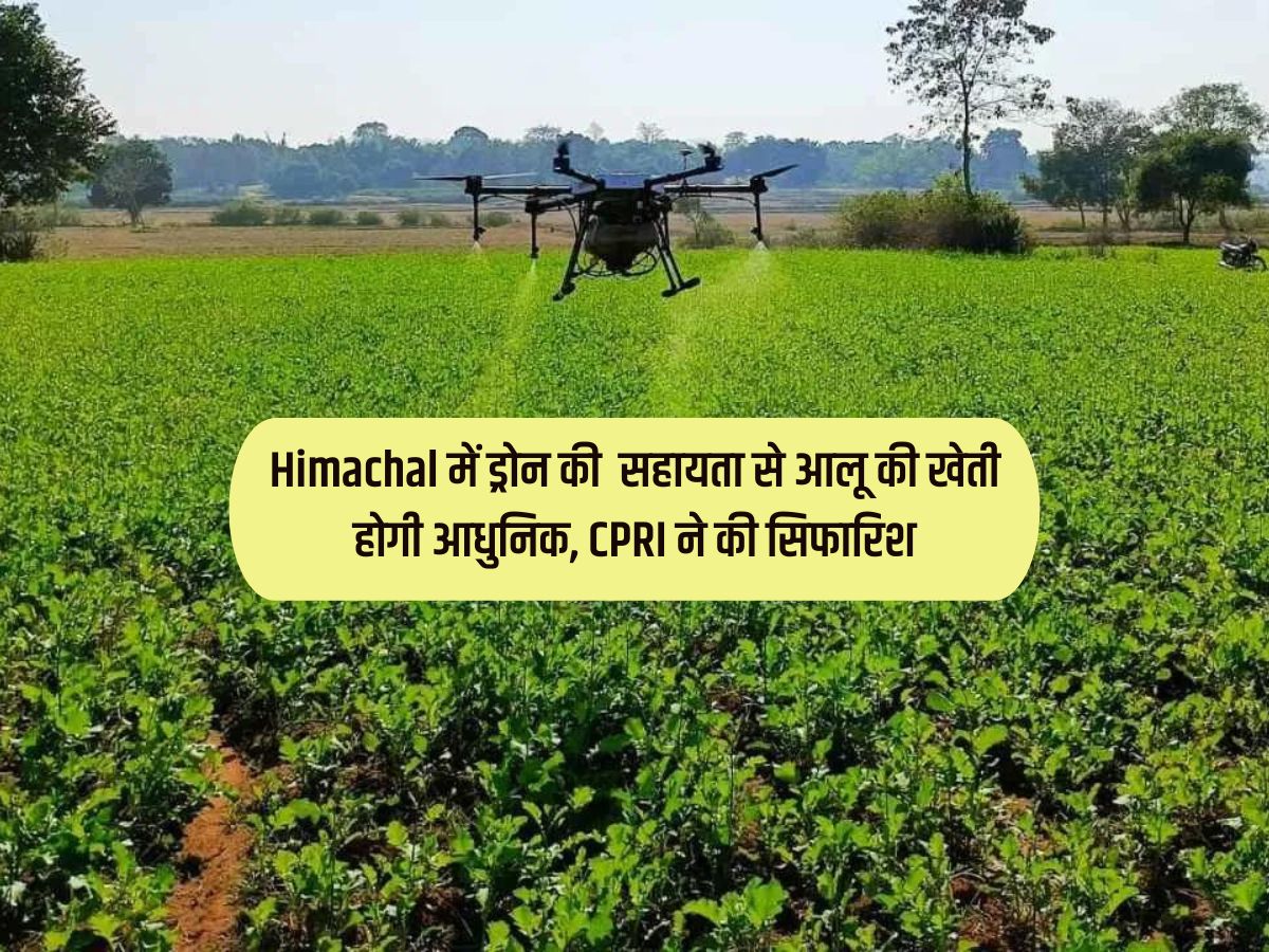 Himachal Smart Cultivation