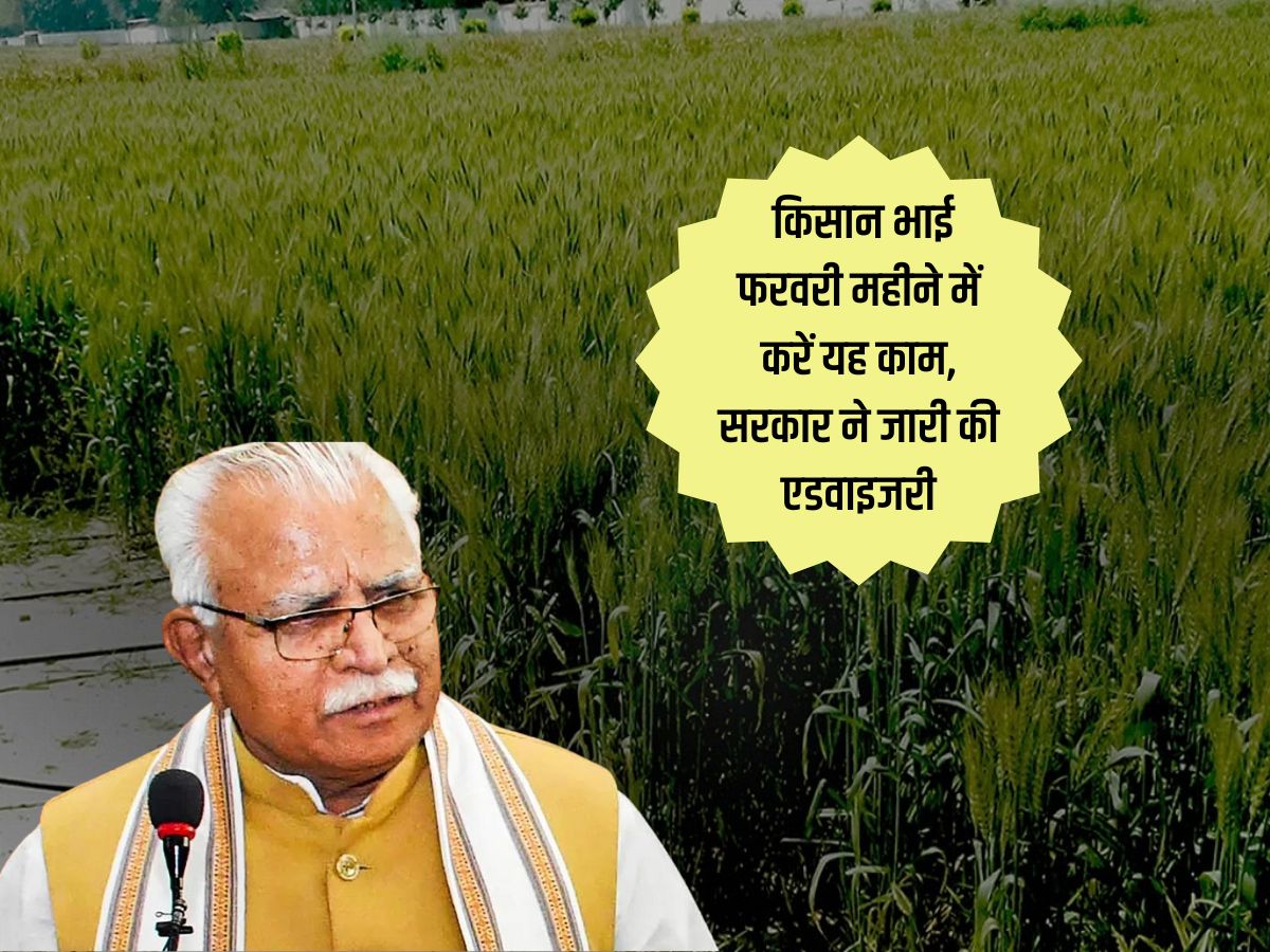 Haryana Agriculture News : किसान भाई फरवरी महीने में करें यह काम, सरकार ने जारी की एडवाइजरी
