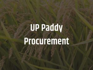 UP Paddy Procurement : उत्तर प्रदेश में खरीदा गया 53.79 लाख मीट्रिक टन धान, किसानों के खाते में आए 11,745 करोड़ रुपए