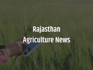 Rajasthan Agriculture News : इस गेहूं ने राजस्थान के किसान को दिया तीन गुना मुनाफा, कृषि अधिकारी भी रह गए दंग