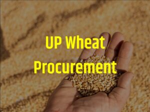 UP Wheat Procurement